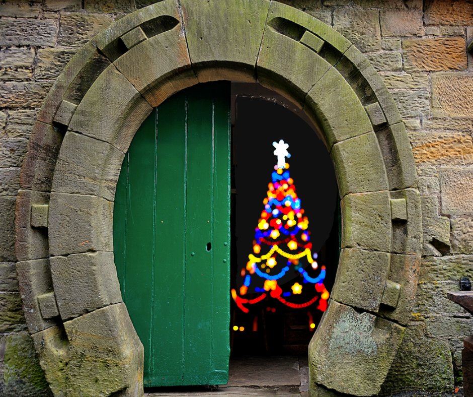 Fran Jurga tweet media