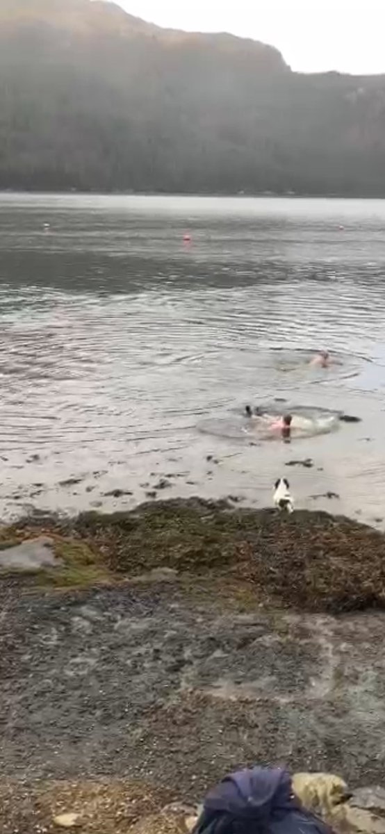 Swam in Loch Goil, it was cold of course but so invigorating