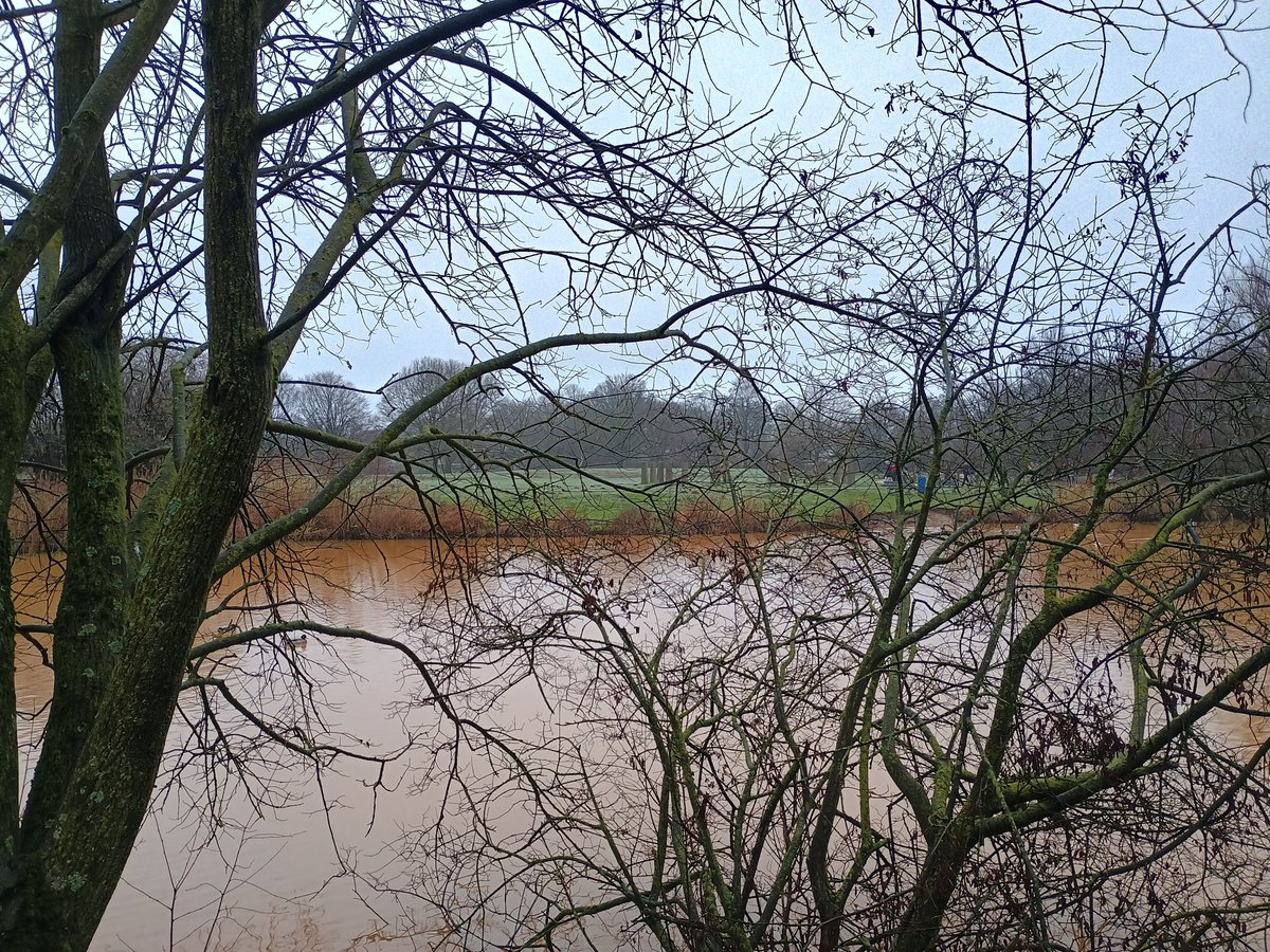 Donja Hoevers tweet media