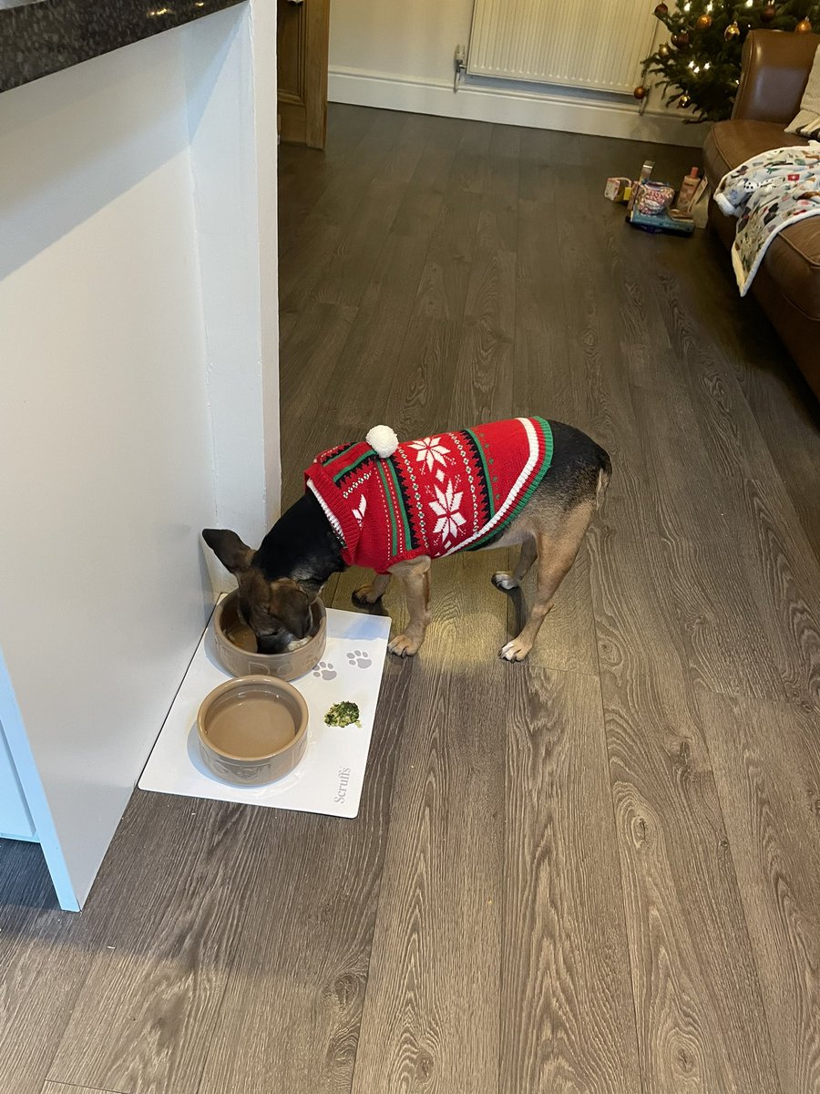Well I’ll just put that nasty broccoli 🥦 to one side and eat the rest of my #christmas lunch. I’m so clever.