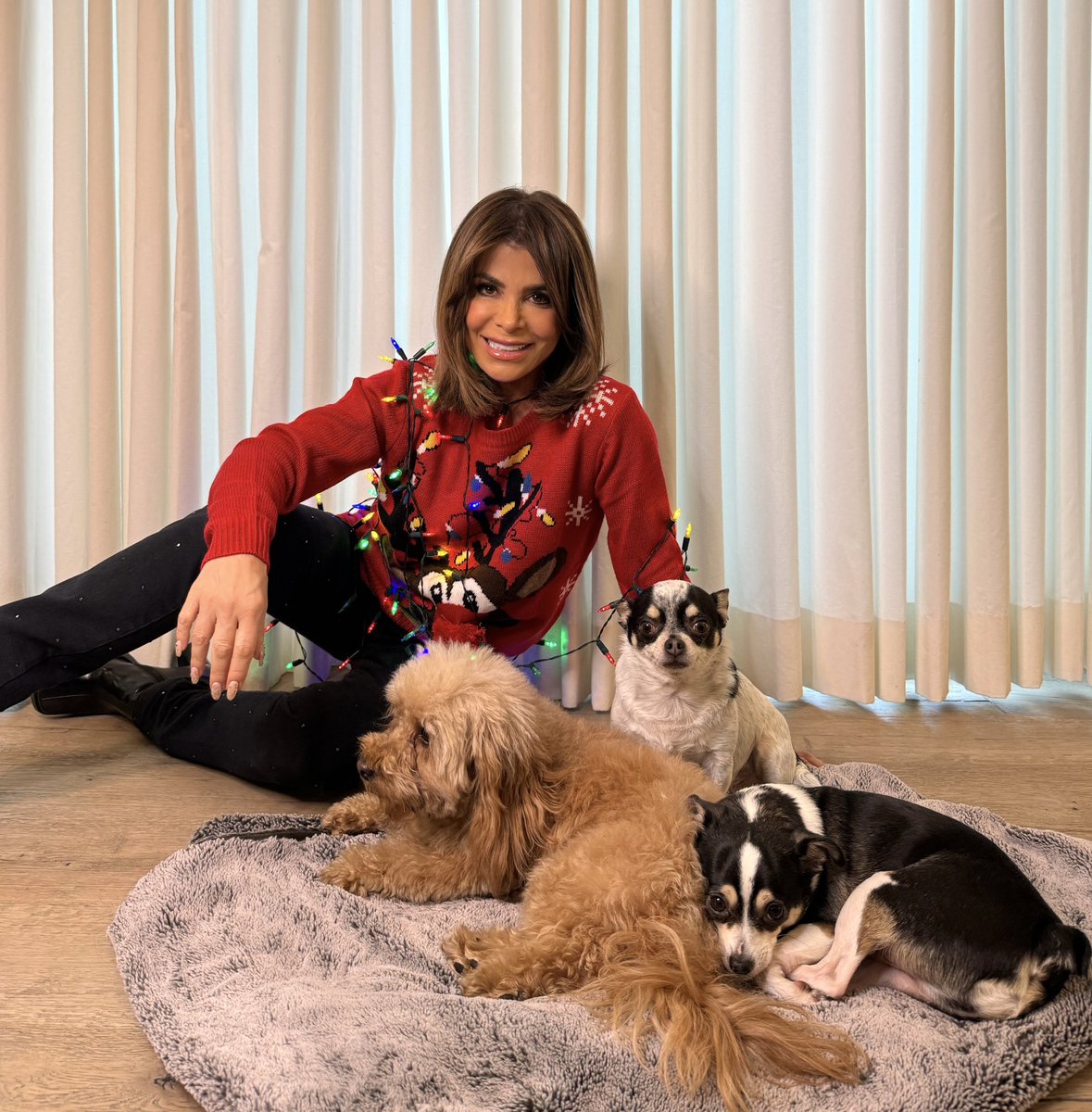 PaulaAbdul's tweet photo. Batman, Nemo, Penny and I wanted to pop in to wish you and your loved ones happy #PaulaDays…I mean, holidays!! 🐶🐾🎄❤️ May your holiday season be filled with warmth, laughter, and the people who mean the most. Sending you all so much love!! 💋XoP https://t.co/xKJXrqlixR