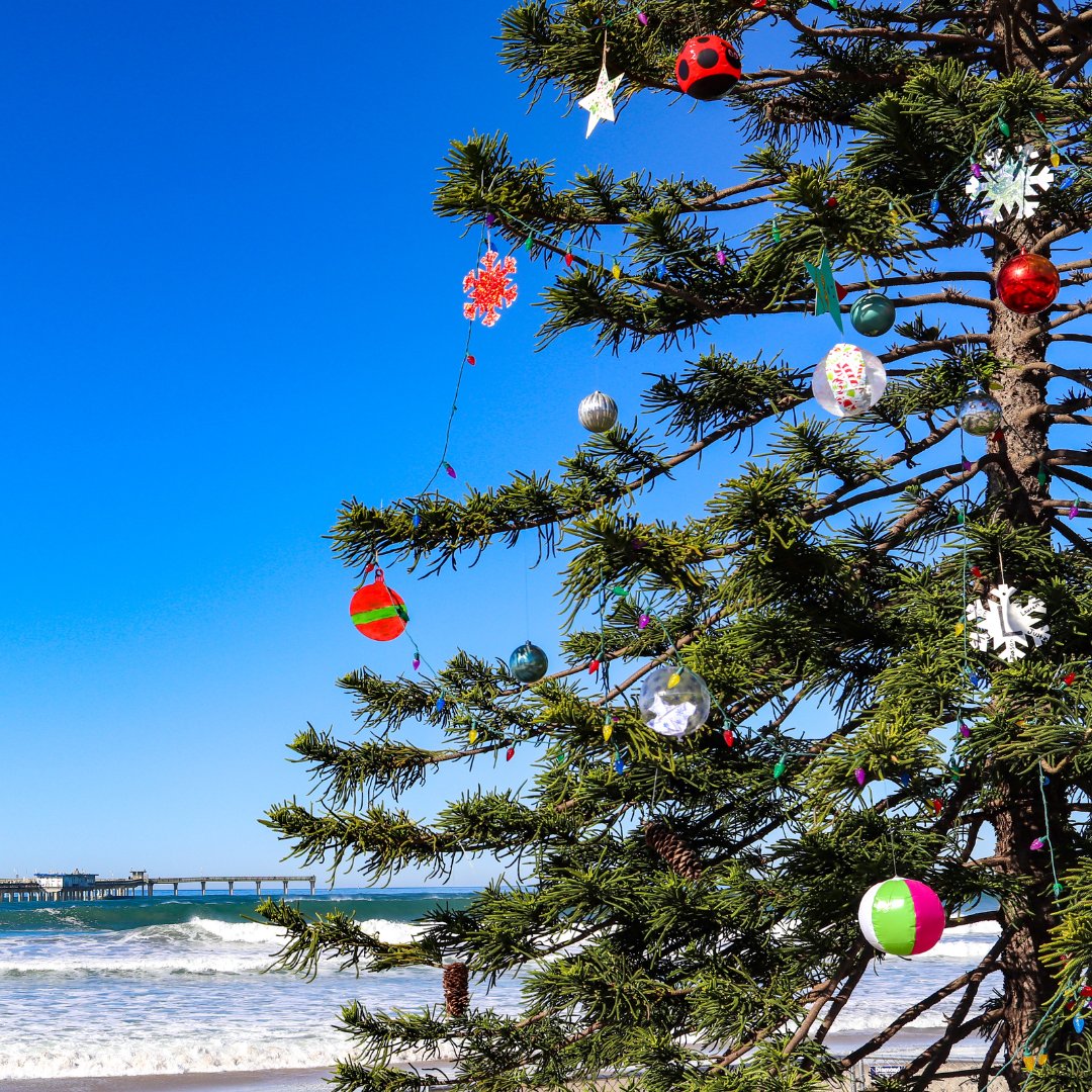 Santa traded snow for sand this year. 🎄🌊 Celebrate the season where the sun always shines, and every moment feels like summer. ☀️ #BeachsideHolidays #EternoVerano