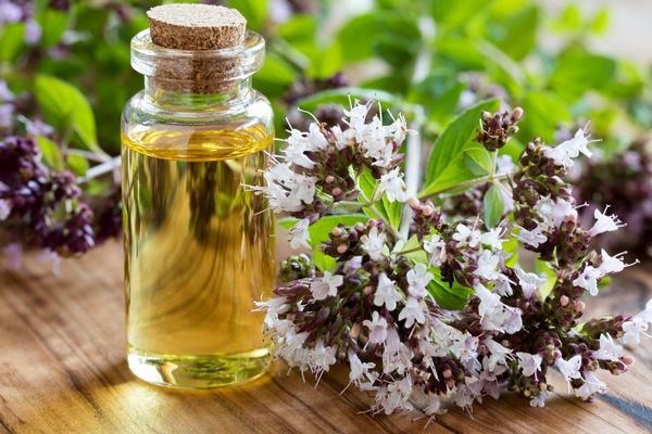 🔴KEKİK...🔹️Karvakrol - Timol)🔹️

🩸 " BİTKİLERİN ŞAHI " desem sanırım çok abartmış olmam..Hangi tip kekik, nerede ne işe yarar,nerede zarar verir bakalim...

🔸️ALZHEİMER ve zayıf hafizaya olsn yüksek düzey olumlu etkisi
🔸️Saç uzatma, yeni Saç çıkarma (%44-%17)