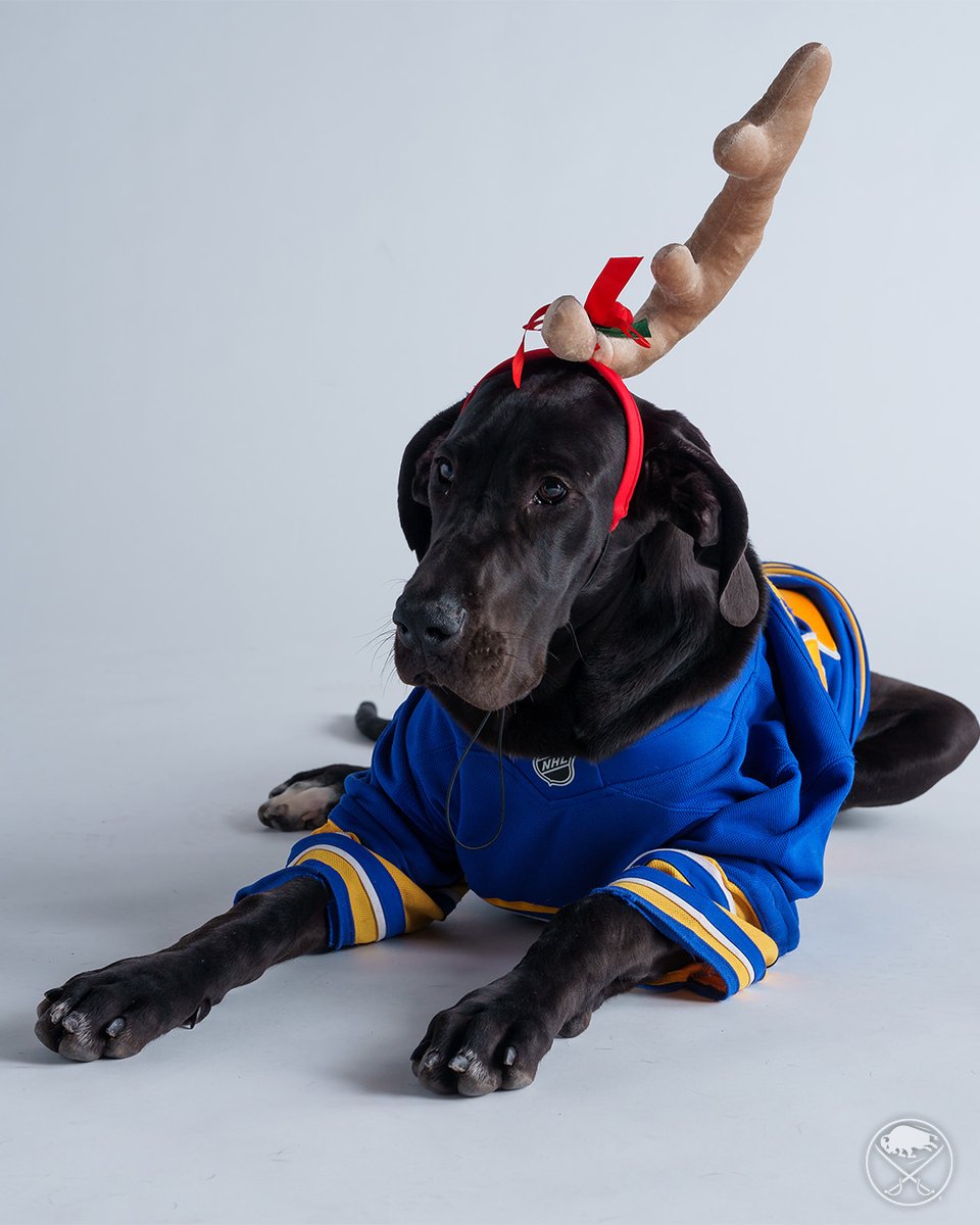 SabresPup's tweet image. Happy pawlidays! 🎄🎁☃️

The best way to spread holiday cheer is barking loud for all to hear!
