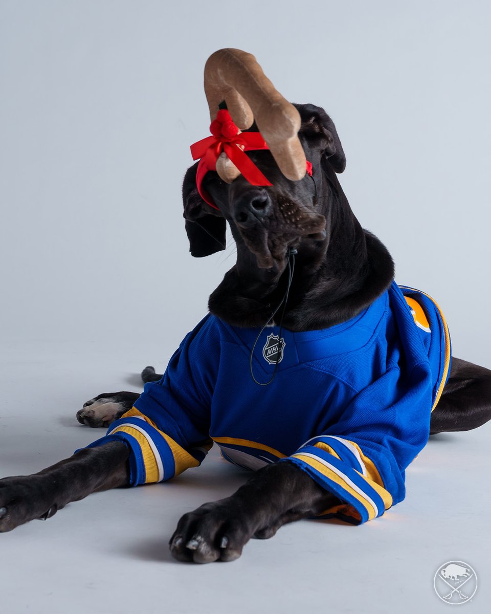 SabresPup's tweet image. Happy pawlidays! 🎄🎁☃️

The best way to spread holiday cheer is barking loud for all to hear!