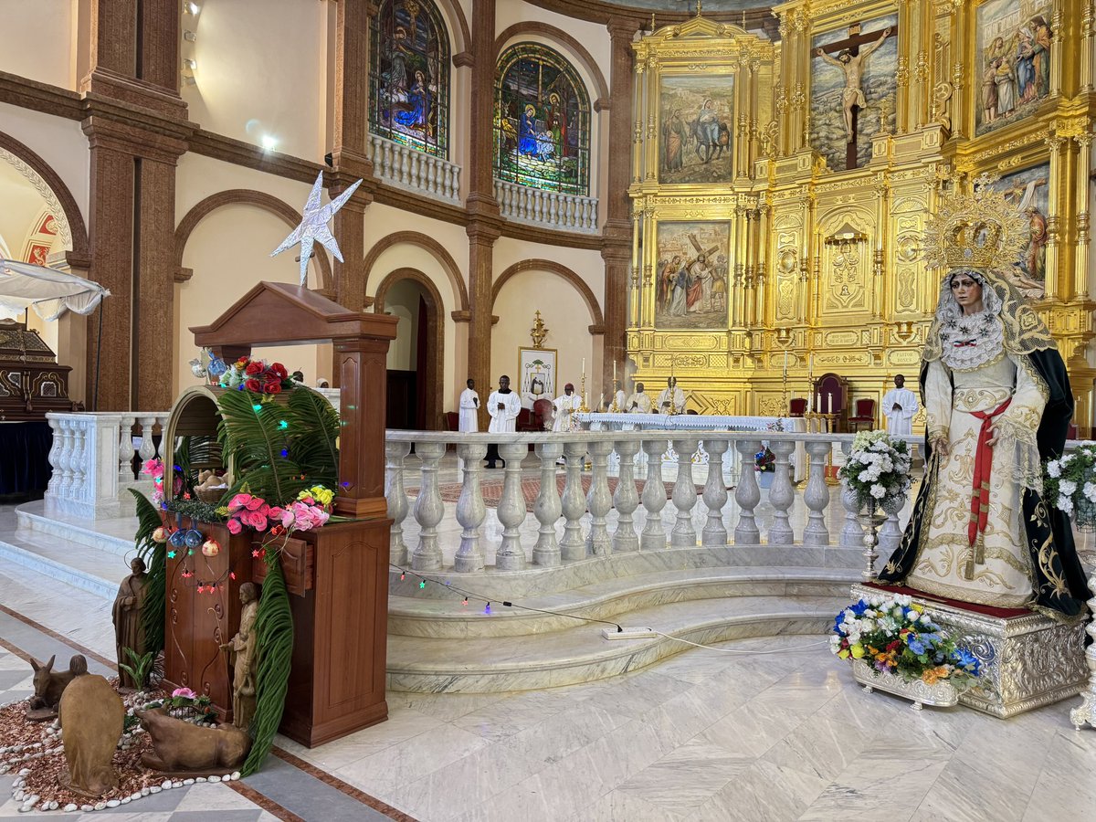 teonguema's tweet photo. El evangelio que hemos escuchado este miércoles en la Basílica de la Inmaculada Concepción de Mongomo, nos aconseja trasmitir la alegria con la que recibimos la noticia del nacimiento del salvador del mundo, con el fin de crear entornos más alegres y solidarios entre los seres humanos. 

¡¡Feliz navidad a todos!!