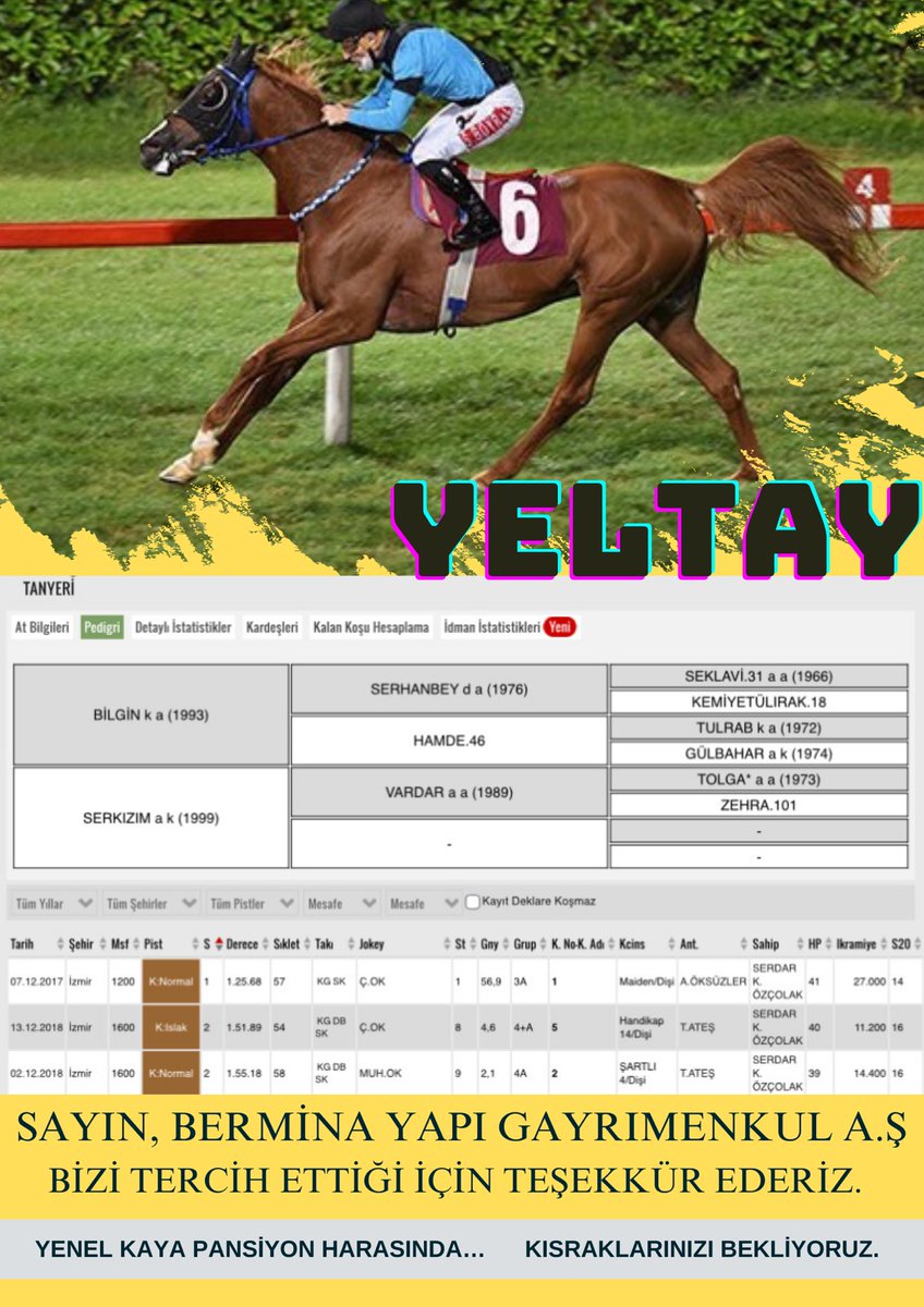 Şampiyon YELTAY’ı ziyaret edecek olan kısrak TANYERİ hayırlı olsun. 

Bizi tercih ettiği için At sahibi sayın, BERMİNA YAPI GAYRIMENKUL A.Ş
Bizi tercih ettiği için teşekkür ederiz.
<a href="/serhat2689kaya/">SERHAT KAYA</a>