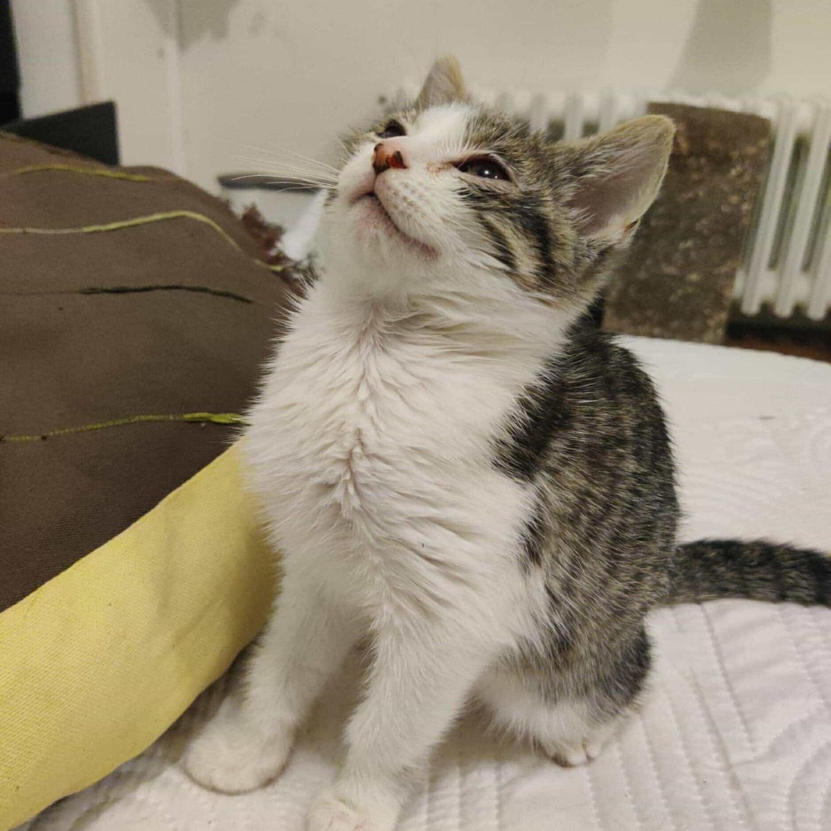 𝑠𝑡𝑜𝑛𝑒𝑥𝑞𝑙𝑓 tweet media