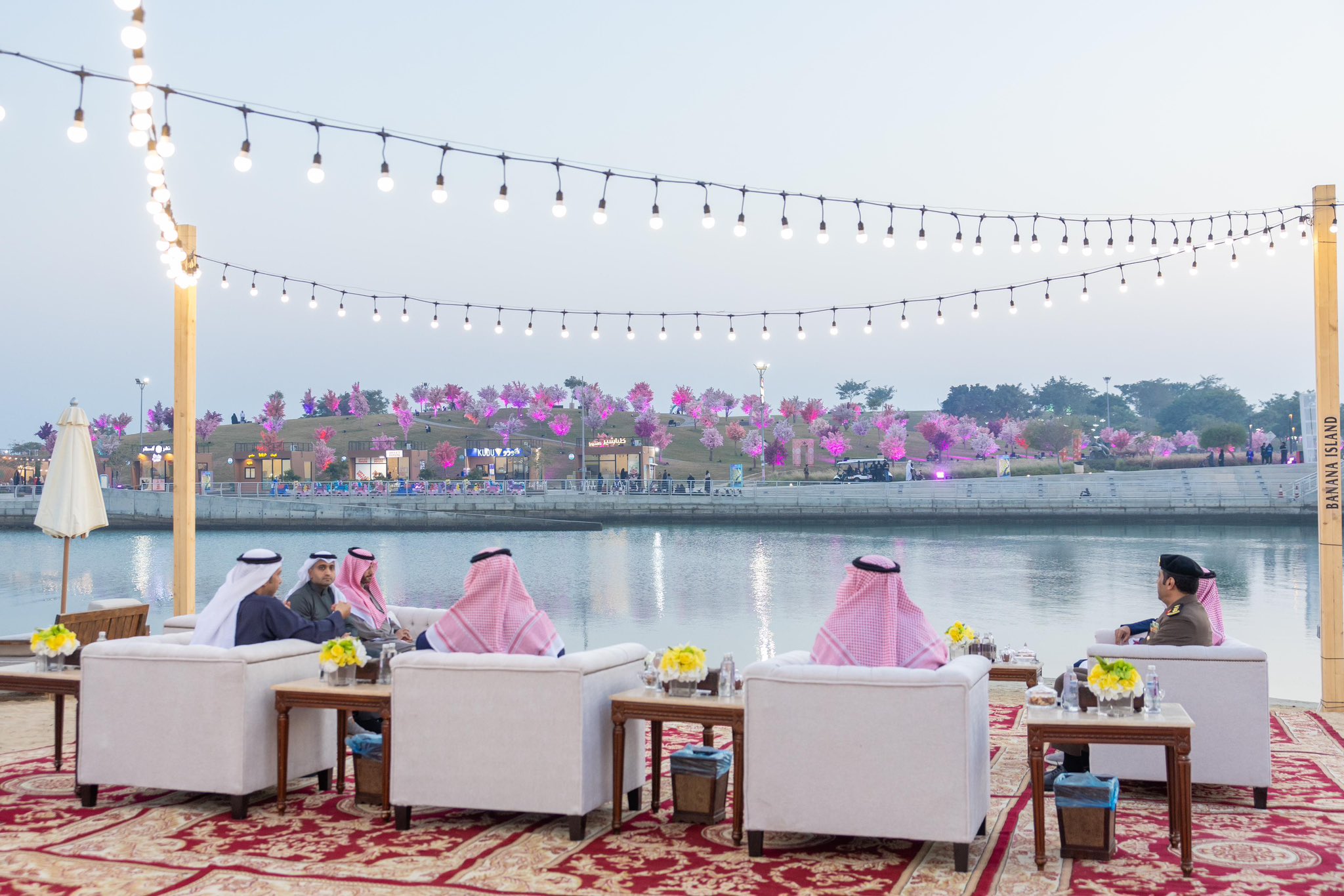 الصورة