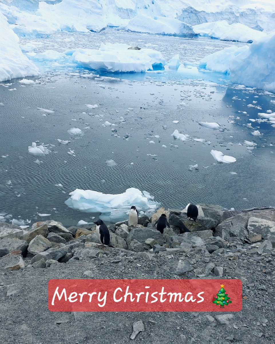 Alanna Grant (@alannagrant123) on Twitter photo Merry Christmas from the BIOPOLE team at Rothera research station, Antarctica ❄️🐧🎄
<a href="/BIOPOLE_NERC/">BIOPOLE</a> <a href="/UK_CEH/">UK Centre for Ecology & Hydrology</a> <a href="/BAS_News/">British Antarctic Survey 🐧</a> Merry Christmas from the BIOPOLE team at Rothera research station, Antarctica ❄️🐧🎄
<a href="/BIOPOLE_NERC/">BIOPOLE</a> <a href="/UK_CEH/">UK Centre for Ecology & Hydrology</a> <a href="/BAS_News/">British Antarctic Survey 🐧</a>
