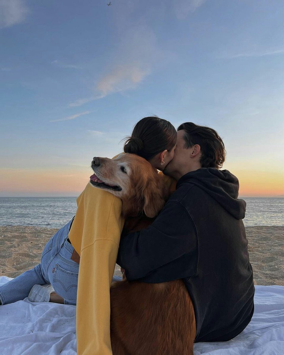 poetical photos. (@poeticalphotos) on Twitter photo 