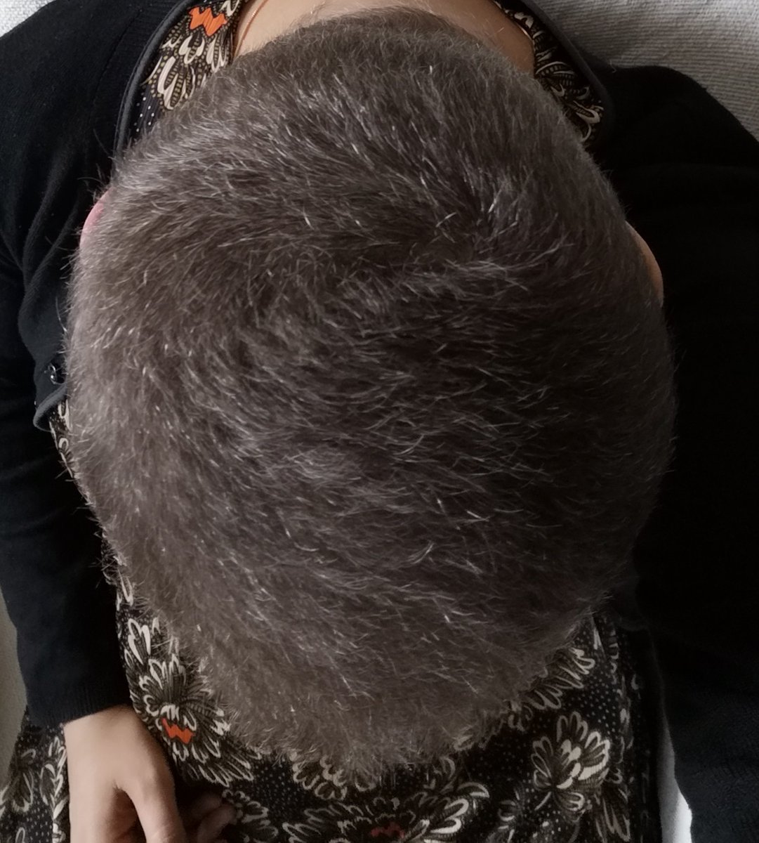 Franciele Becher 🗃️ tweet media