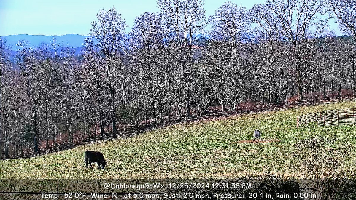 DahlonegaGaWx's tweet photo. #Dahlonega
#NorthGA
#GaWxCond

Dec 25, 12:32:14 https://t.co/Pv2RNyihRd