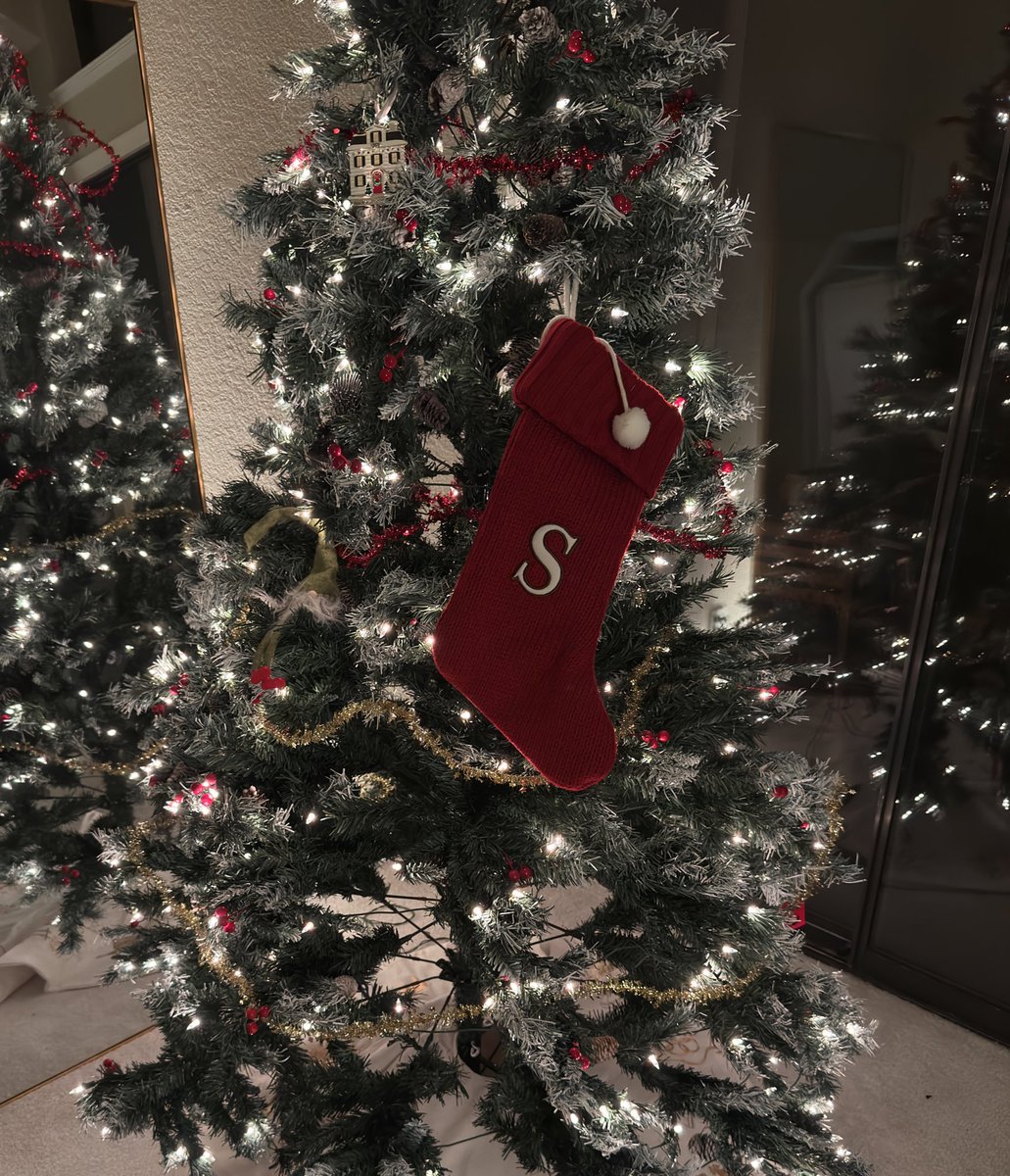 LusticPrincess's tweet photo. what? you don’t have christmas trees dedicated to you? https://t.co/rl9F31Egcp