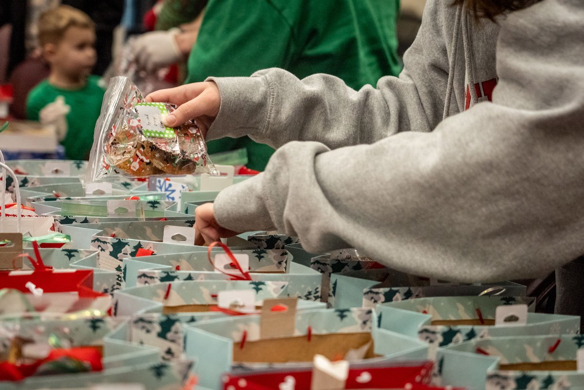 All American Division (inactive) tweet media