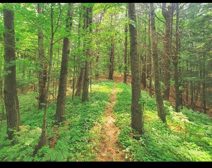 Akili za kesho tweet media