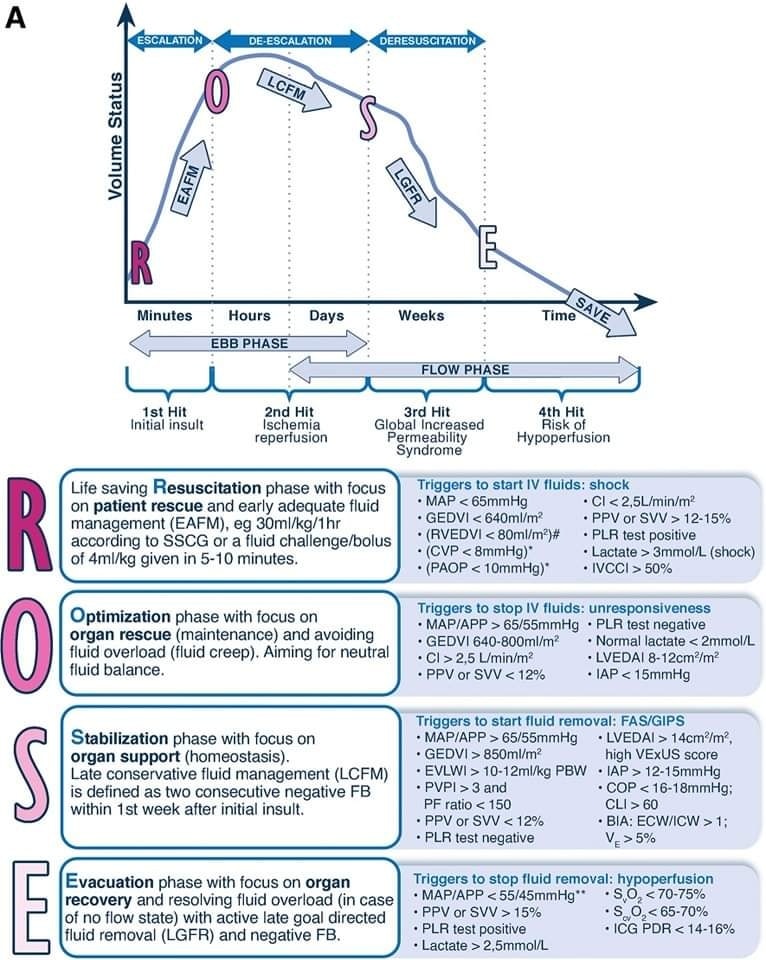 🔴🧪Everything you need to know about deresuscitation #OpenAccess #Review

✍️🔹The 4 phases conceptual model and deleterious effects of fluid accumulation syndrome. 

✍️🔹link.springer.com/article/10.100…

 #Meded #medx  #medtwitterWhat #MedTwitter #CardioEd #medx #medEd #CardioTwitter