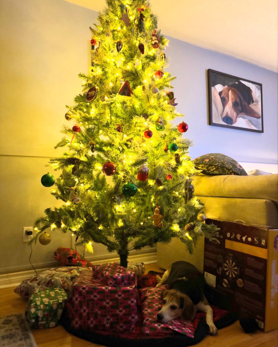 Merry Christmas to all my furiends!!! Santa Paws visited and oh boy I’m glad to report I was on the “very good boy” list! Like there was any doubt?? Pfft!