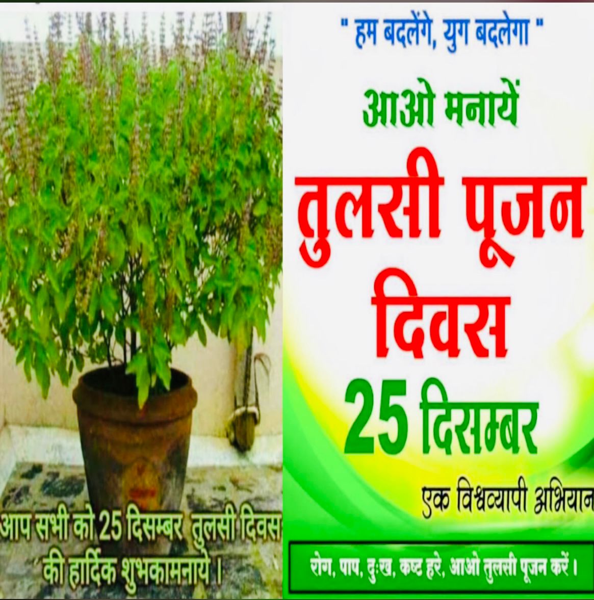25 दिसम्बर "तुलसी पूजन दिवस " की सभी को बहुत-बहुत शुभकामनाएं 🌺🌺🌺🌺🌺