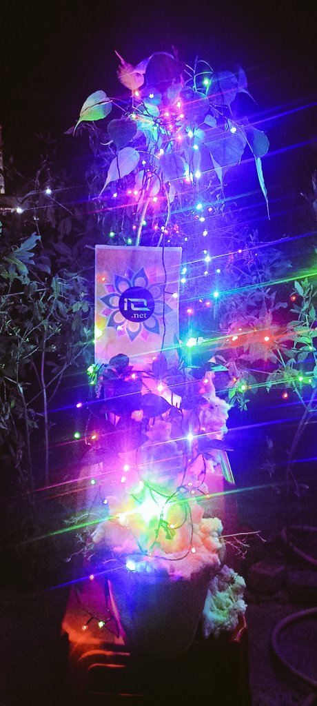 ChetanIngo82222's tweet image. Spreading holiday cheer with a touch of innovation! Wishing you all a Merry Christmas IO Nation
@ionet @ionethindi @net_io37353 
#IOArmy 
#GPUArmy