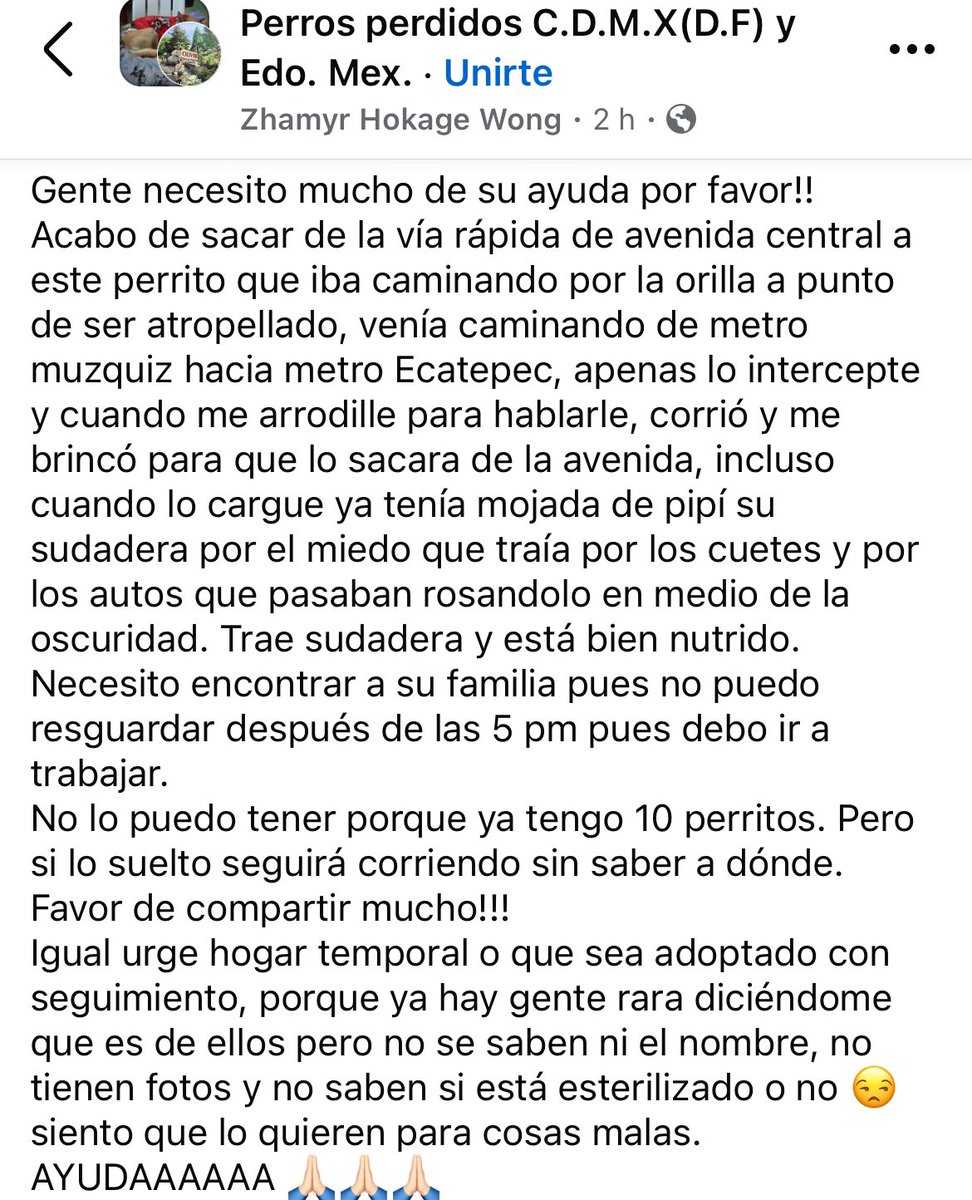 Jaqueline tweet media