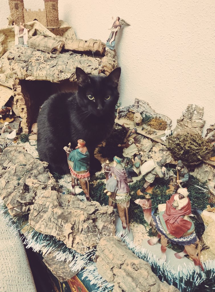 Merry Christmas 2024 🐈‍⬛✨