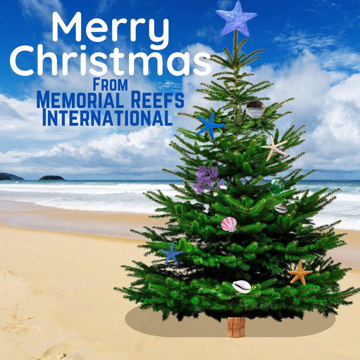 Memorial Reefs International (@memorialreefs) on Twitter photo 