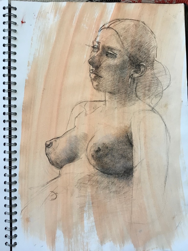 Drawing by Gianluca Rotelli from life on colored mixed-media paper. This drawing was created from life, and if you'd like to know more, you can read the full article on my Patreon page. In this post, I explain the materials used and the various stages of the drawing process.