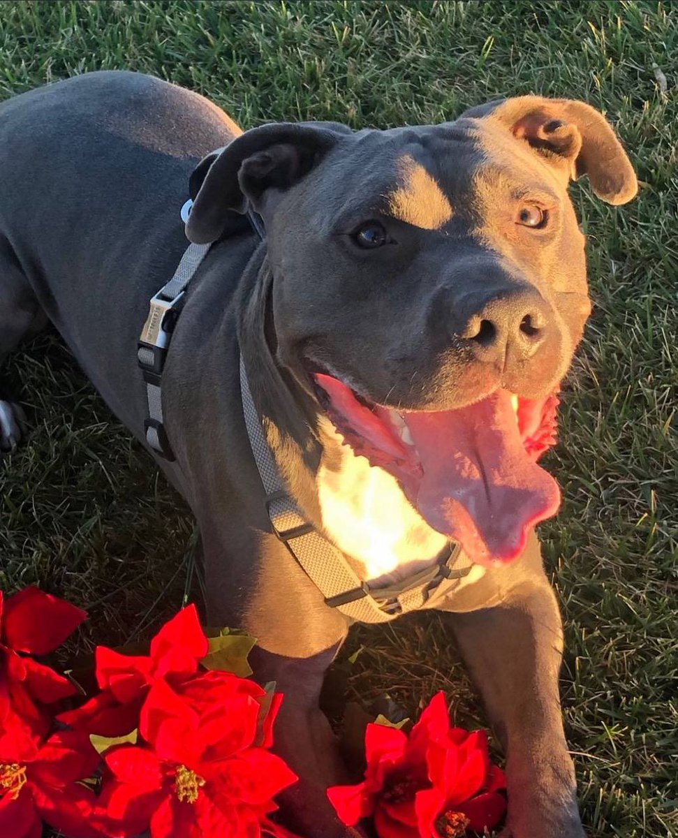 OMGinaeth's tweet image. Merry Christmas everyone!! 

God bless 🙏🏽