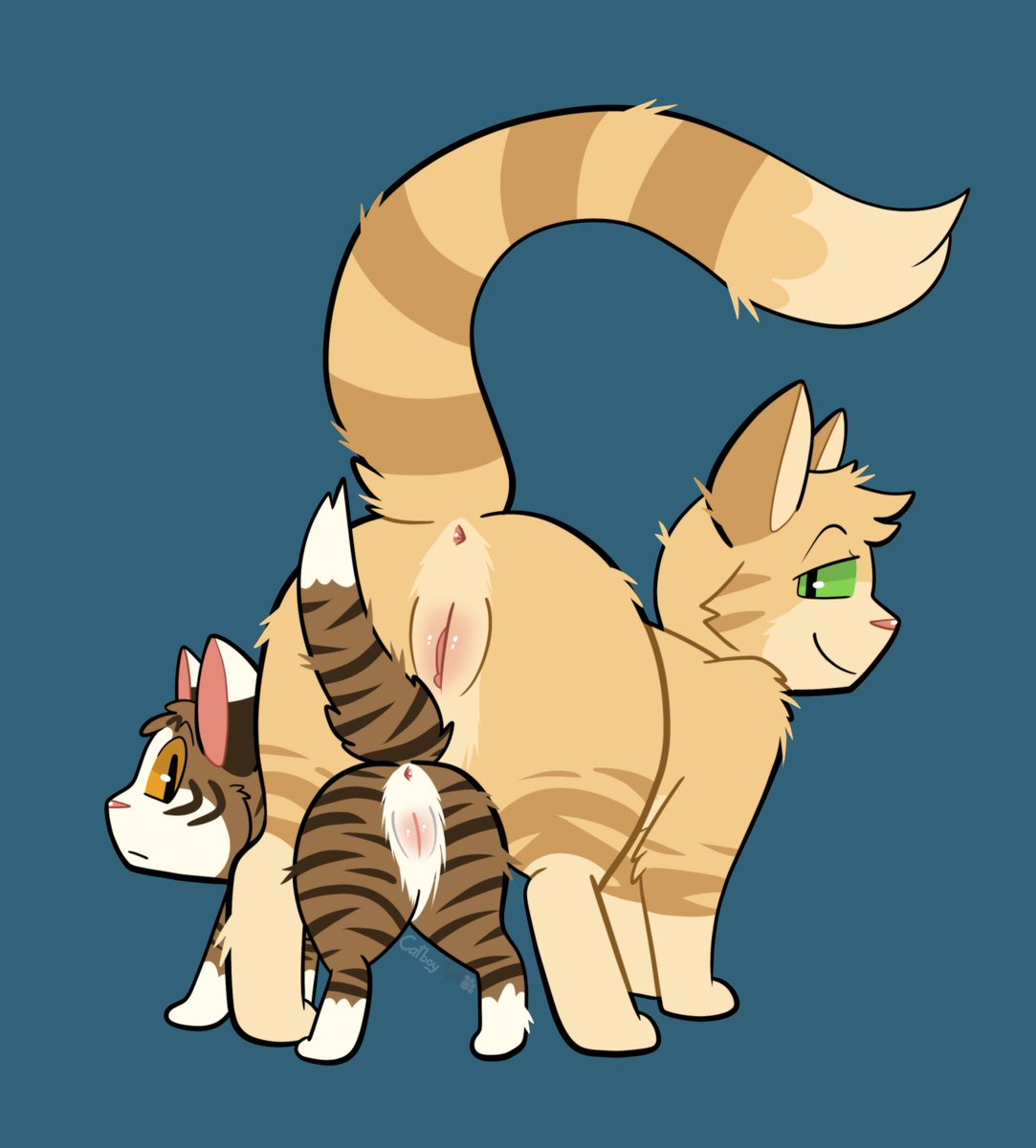 CatboyParole's tweet photo. uhm #fighterfelines thinking about this image again all of the sudden tbh https://t.co/8kYKu60XZV