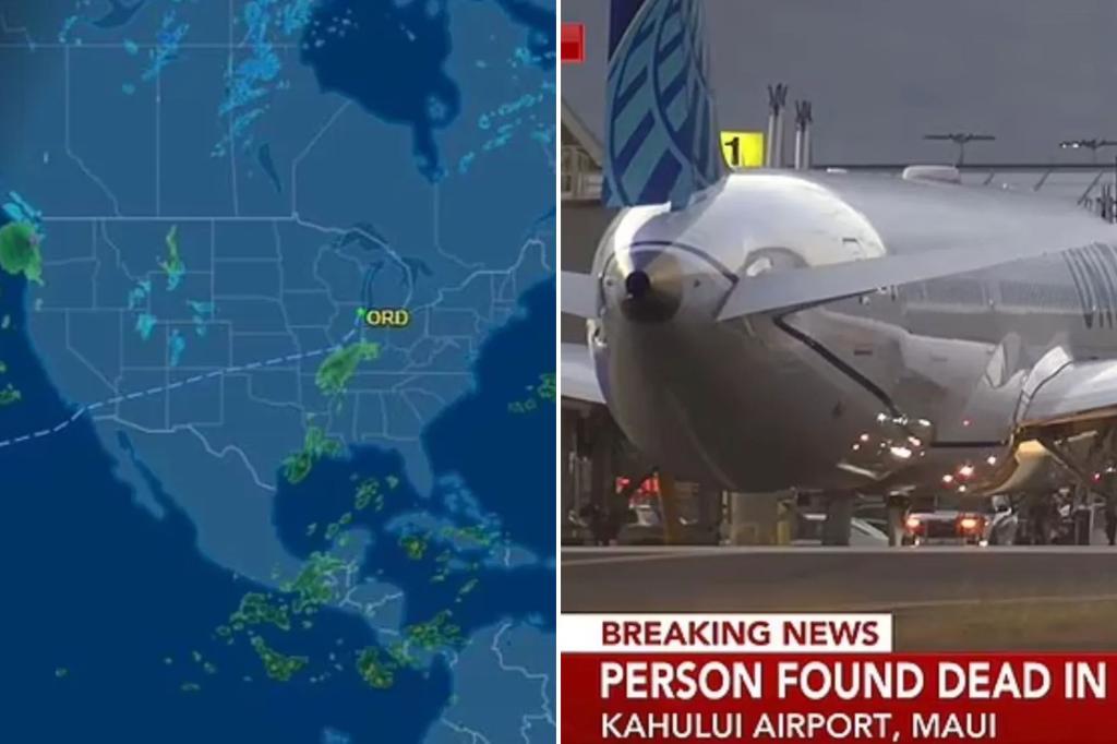 nypost's tweet photo. Dead body found lodged in wheel well of American Airlines plane in Maui on Christmas Eve https://t.co/FV7Jk7VEru https://t.co/XqSfH7wvx9