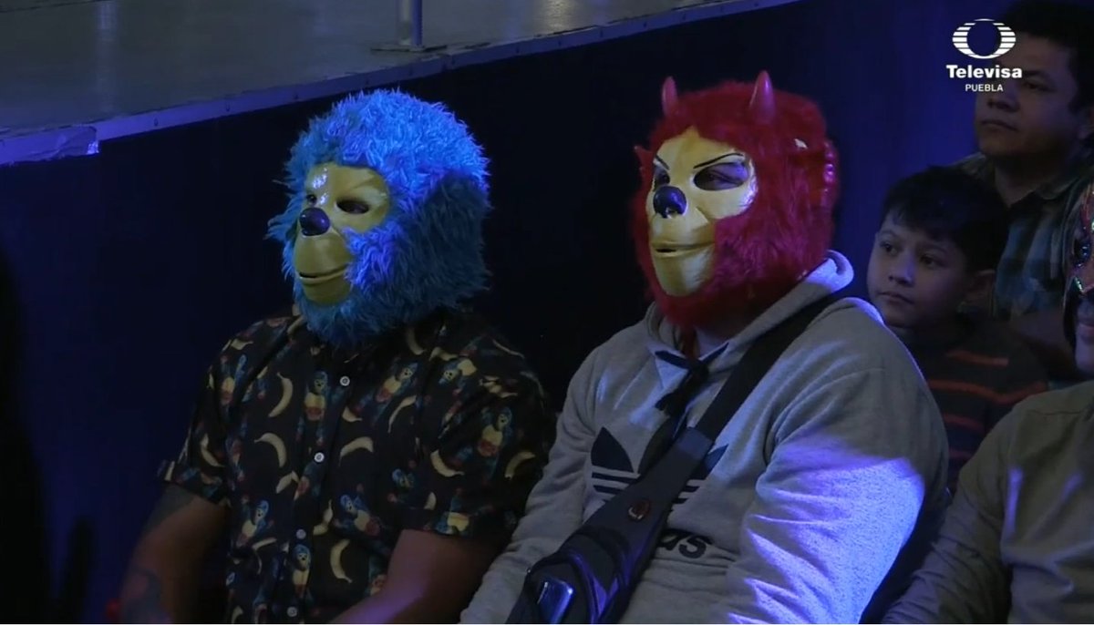 luchablog's tweet image. 