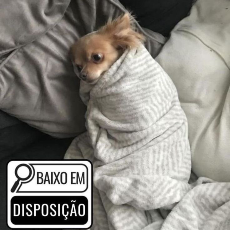bem assim hoje
