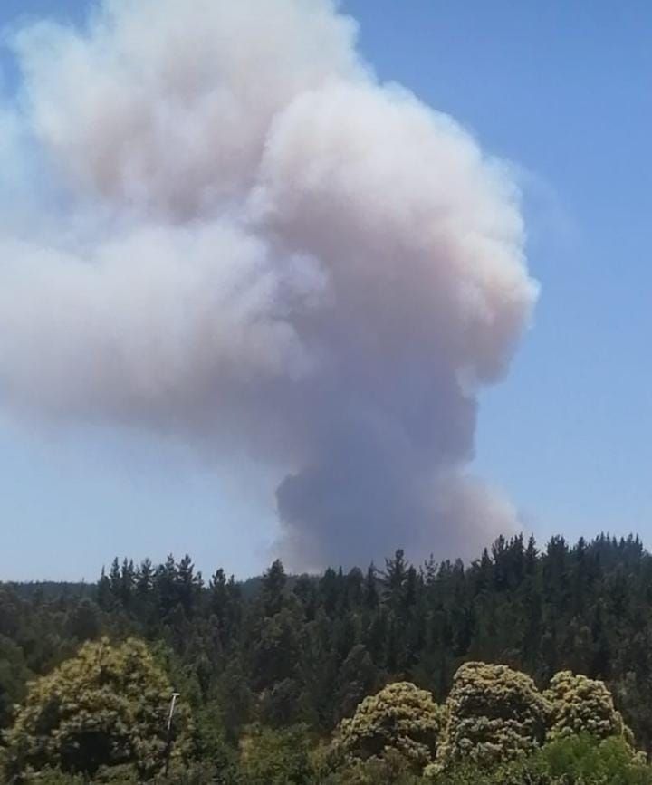 alegriagonzaa's tweet photo. 14:57 | 🚨🔥#URGENTE #AlertaRoja #Hualqui INCENDIO FORESTAL "Ranguel" (20 ha) @reddeemergencia @RNE_Alpha_8 @Sepulinares @RedGeoChile 

Se activa ALERTA SAE para evacuar Población Ranguel. 

🚒Z2 BF4 X4 #Penco F1 #Hualpén F1 #Talcahuano Z1 F5 F8 #Concepción  CB #Hualqui https://t.co/nocN5HdrDK