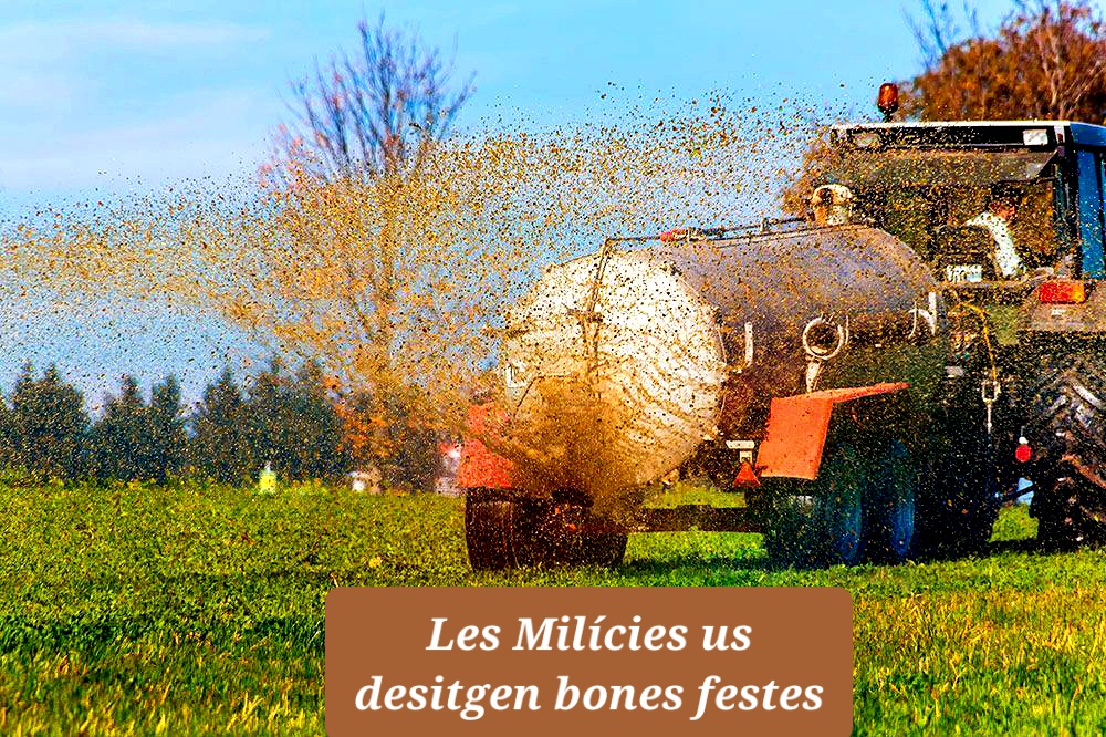 Fins als collons amb les vostres felicitacions, aquí teniu la nostra!