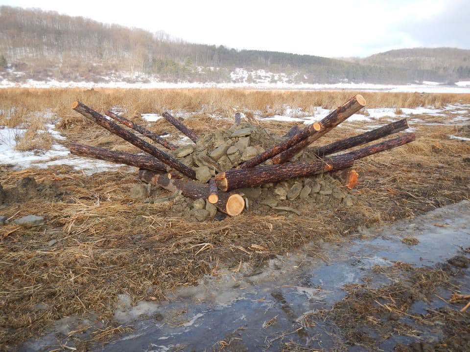 pafishandboat's tweet photo. Get out that holiday candy and build a spider hump fish habitat structure with your kids!
Check out the structure design for the ones we build: https://t.co/uQm6hTmuyu
#PAFishandBoat #Habitat #SpiderHump #FishPA #FishOn #HomeForTheHolidays https://t.co/FmJUXHlzW2