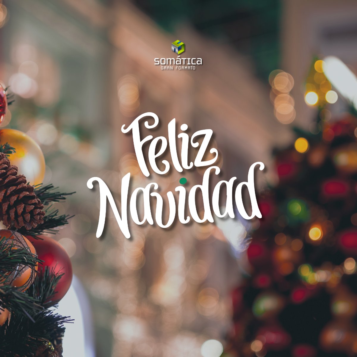 somaticaags's tweet photo. 🎄 ¡Feliz Navidad de parte de Somática! 🎅 Que la magia de estas fiestas llene sus corazones de alegría y amor. #FelizNavidad #Navidad #Somática https://t.co/S7eaS8RuTE