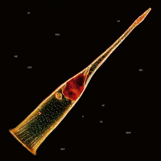 zanzana's tweet photo. Ma chronique sur le dernier album des #Leprous "Melodies of Atonement"
https://t.co/2GS1svxVO5 https://t.co/XTCUoQ7fEK