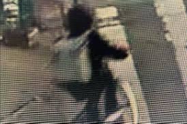 christopher stoneblume tweet media