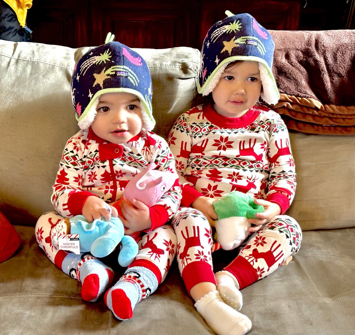 PatHickeyNevada's tweet photo. Granddaughter’s Lyla &amp; Emma with their new Christmas hats https://t.co/DedDs2C5o0