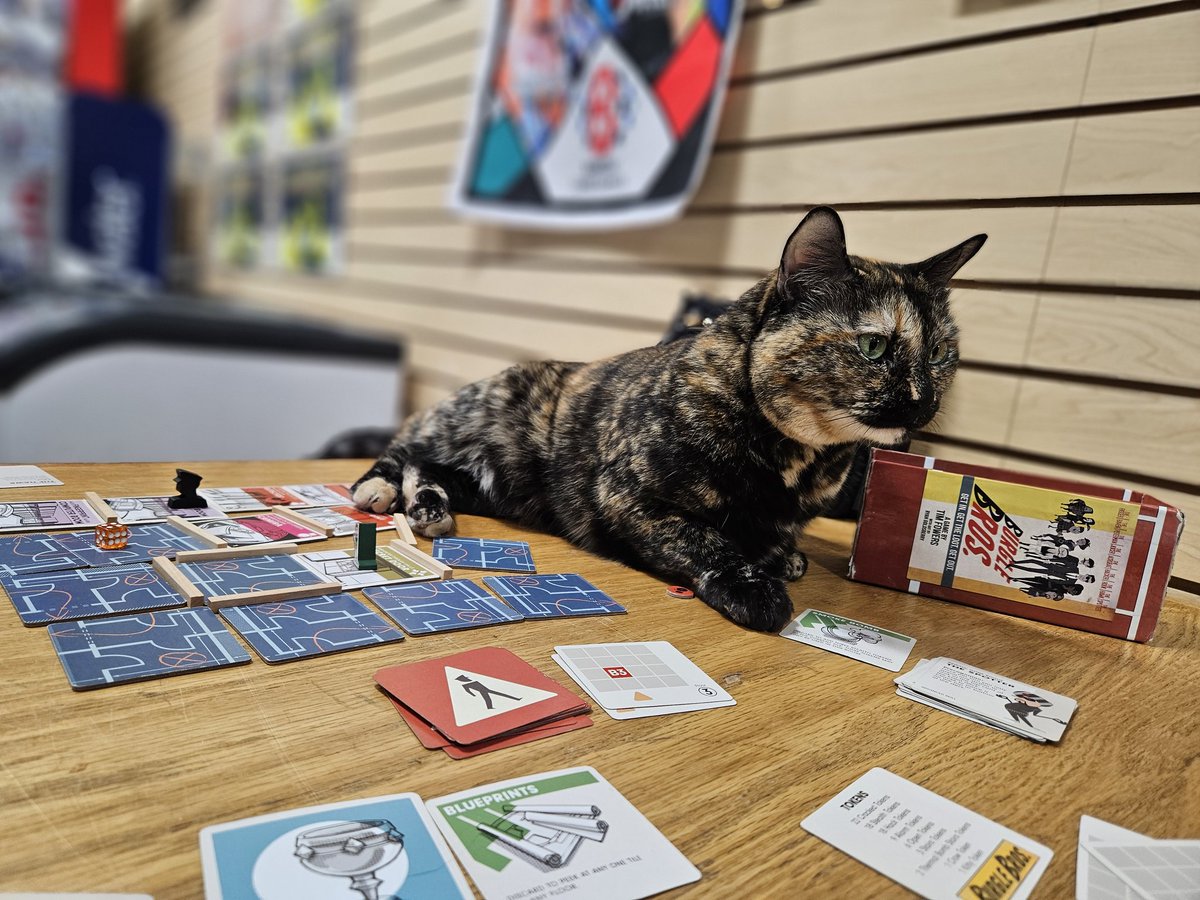 NotSoSpeedRuns's tweet image. Board game shop cat!