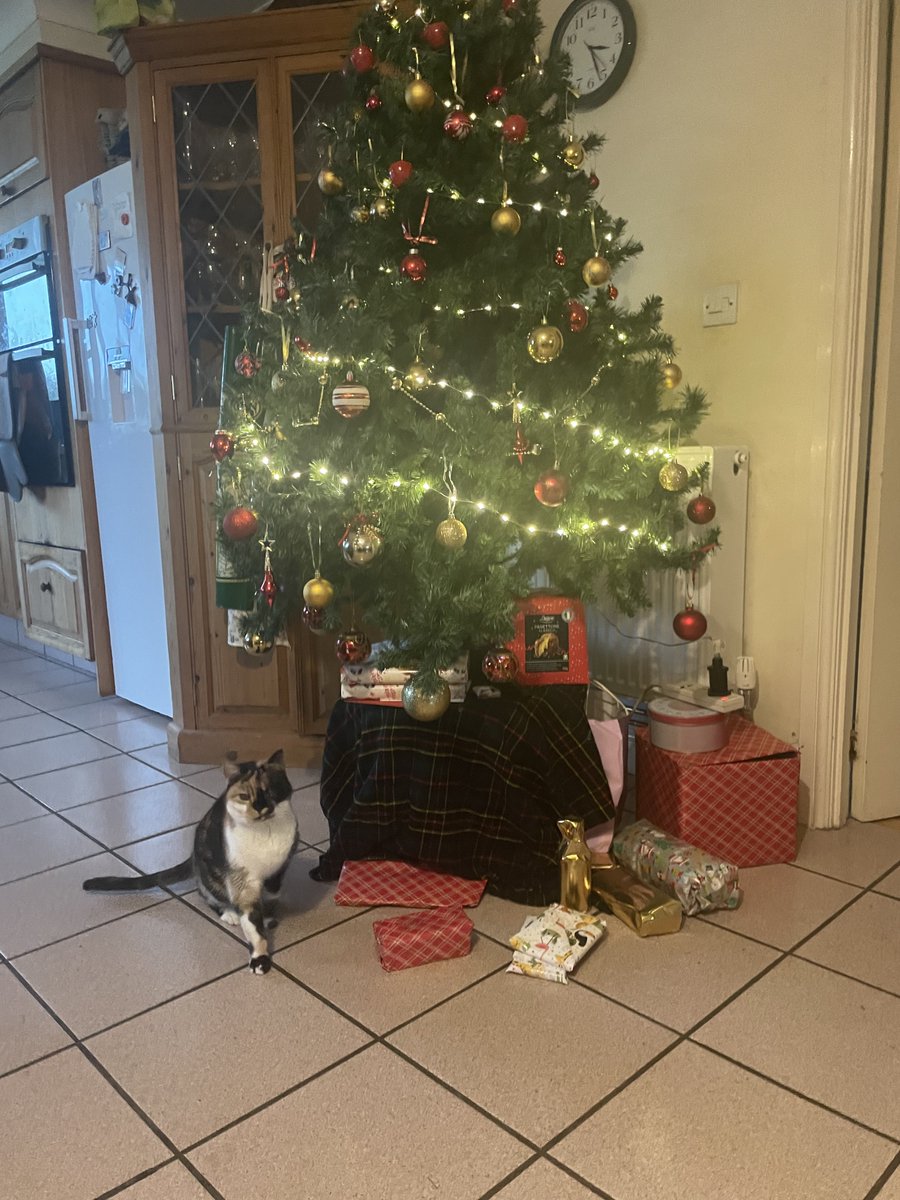 Dr Holly Vickery tweet media