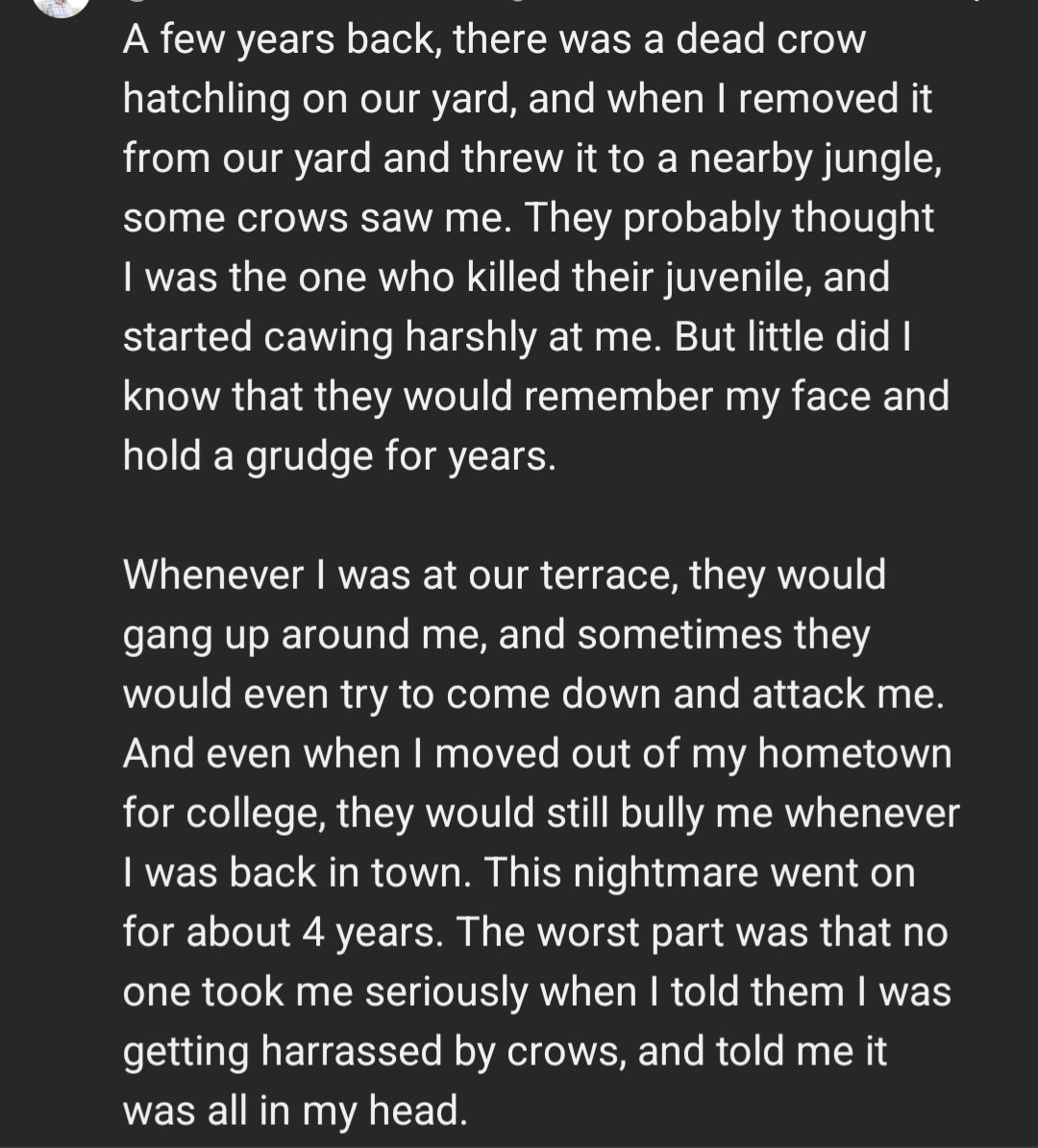 Physically laughed out loud reading this comment on a <a href="/zackdfilms1/">Zack D. Films</a> short.

Can only imagine the vindication this dude felt after trying to explain for years that "no I'm serious, the crows are out to get me!"