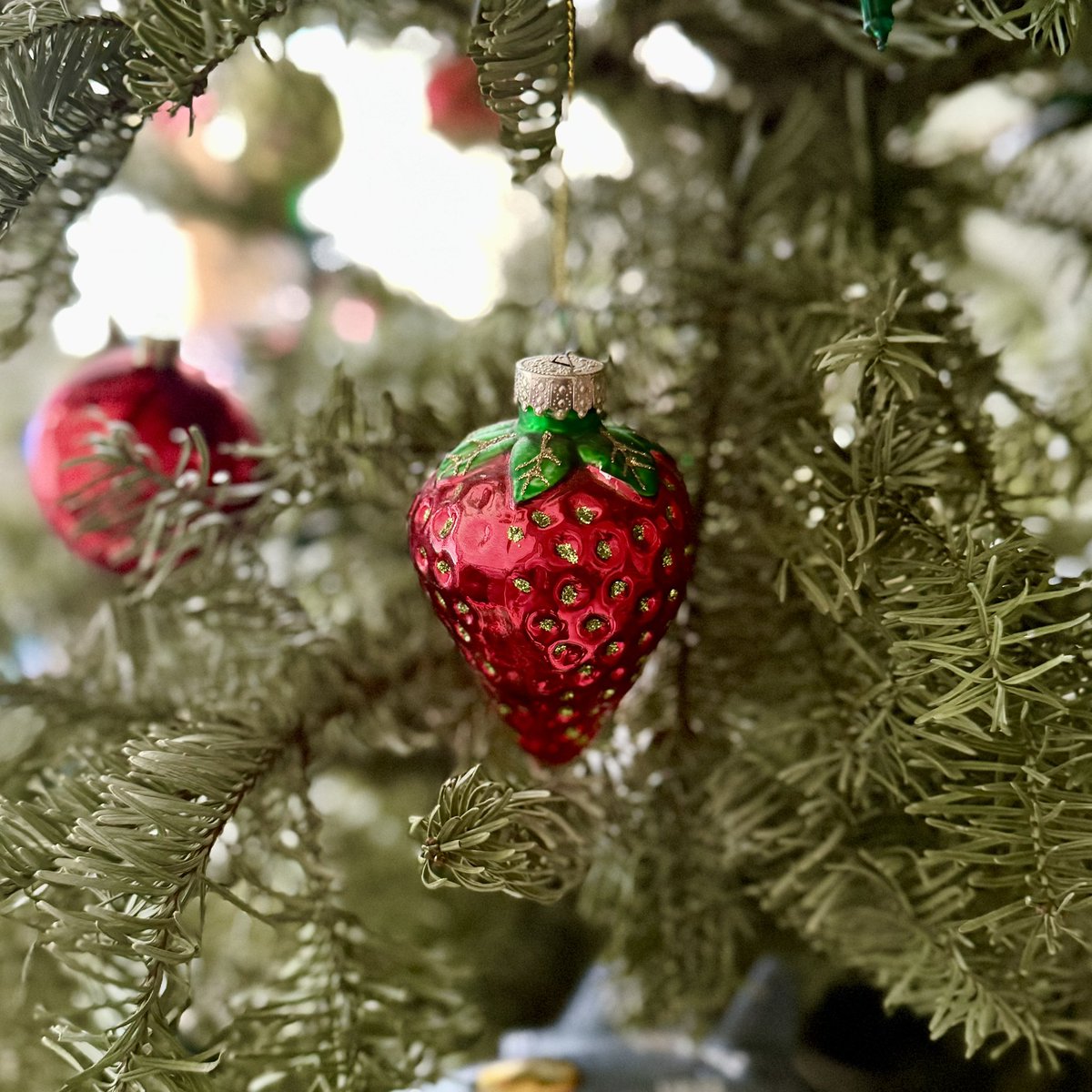 Merry Christmas from the La Fresa family to yours 🍓🎄