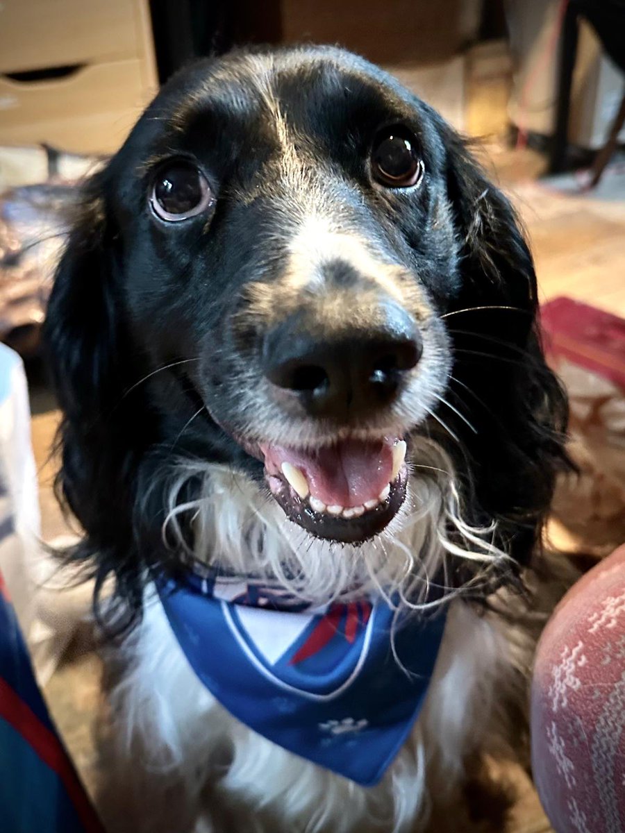 Peter Whiteley tweet media