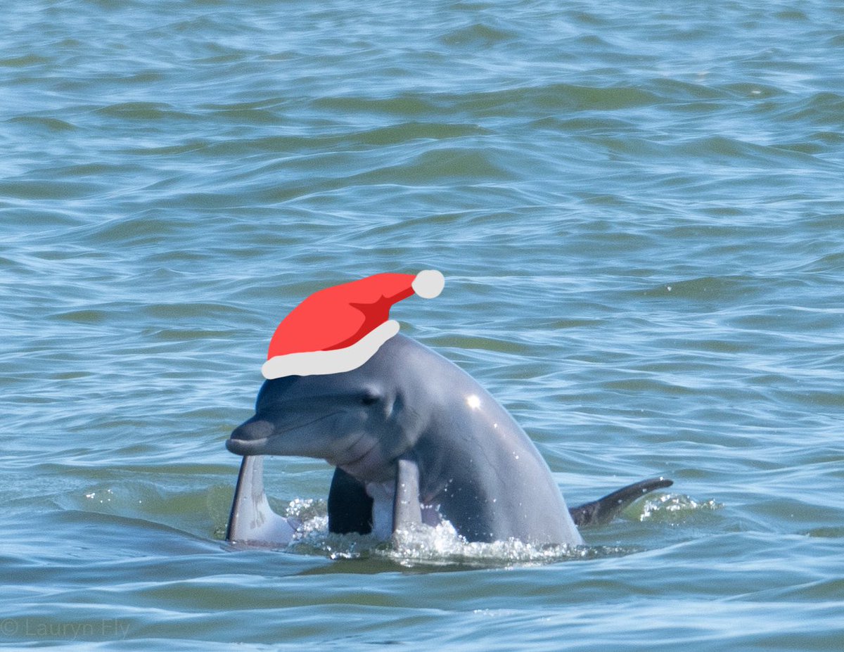 Happy Holidays!