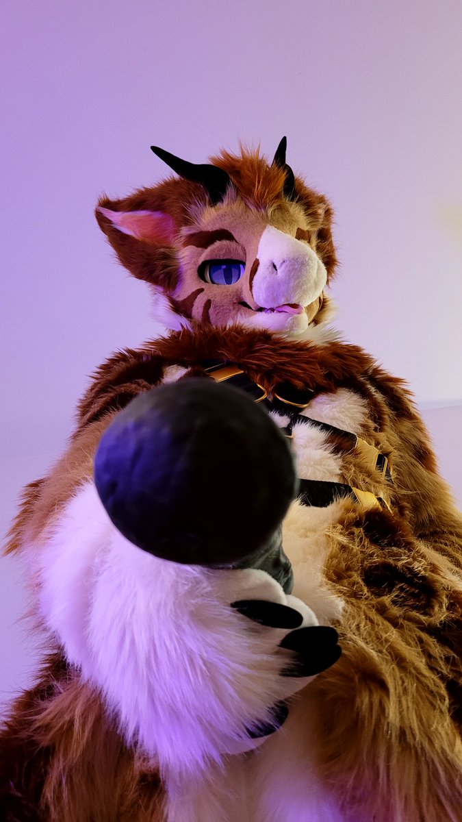 AlcepiadeAD's tweet photo. Merry Christmas ✨
I got your present ready ~

📸 @FusionFur https://t.co/vzChmsNe4s
