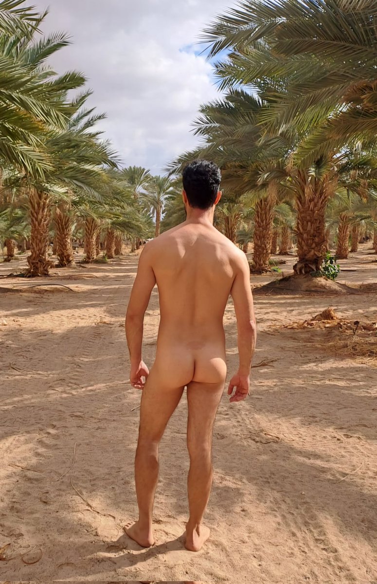 Israeliboy30's tweet photo. Who wants a date?🌴

ריטוויט ואשלח הפתעות בפרטי 😉 https://t.co/d0DrMTs5eC