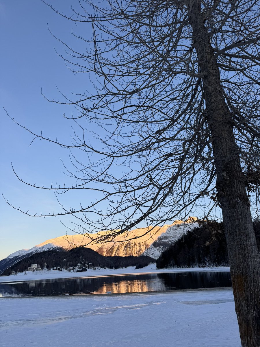 editsc's tweet image. Friedvolle Weihnachten