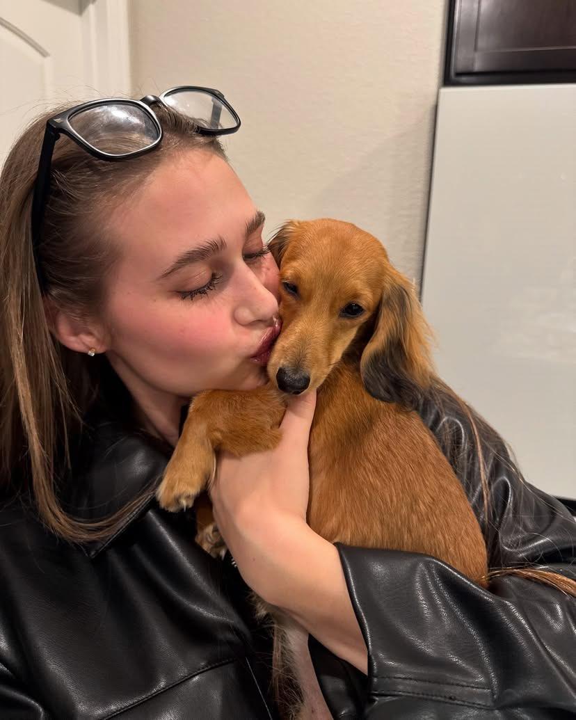 Puppy